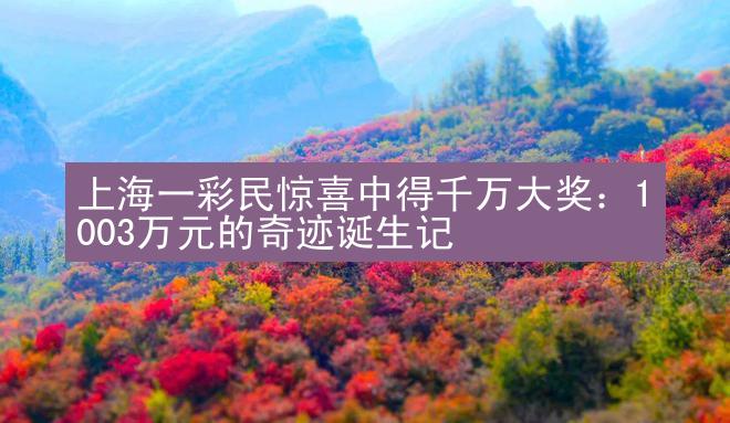 上海一彩民惊喜中得千万大奖：1003万元的奇迹诞生记